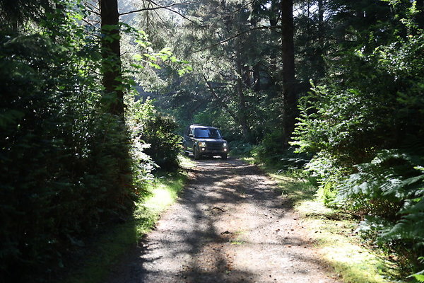 Cape Blanco Horse Camp Rr  27