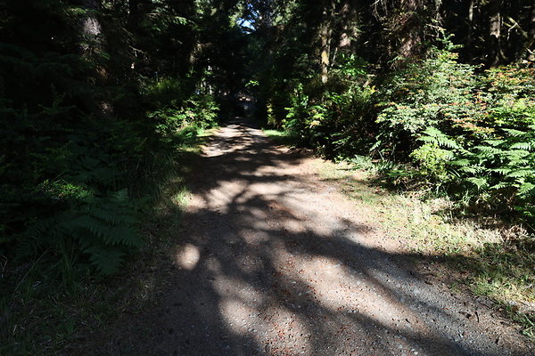 Cape Blanco Horse Camp Rr  17