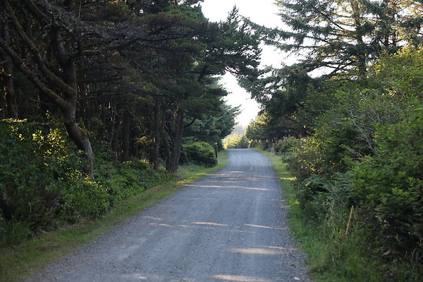 Cape Blanco Horse Camp Rr  12