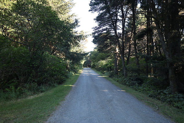 Cape Blanco Horse Camp Rr  13