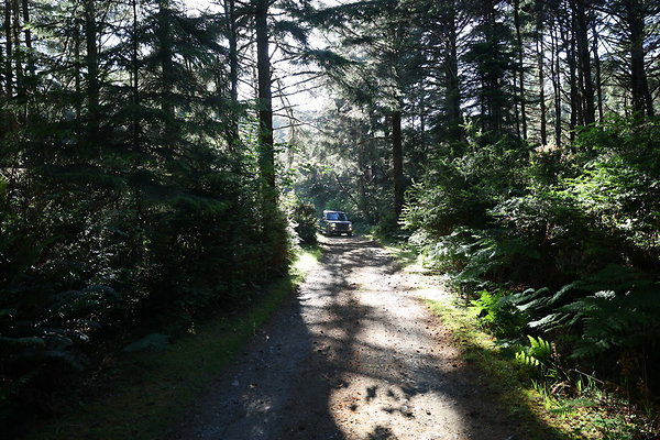 Cape Blanco Horse Camp Rr  26