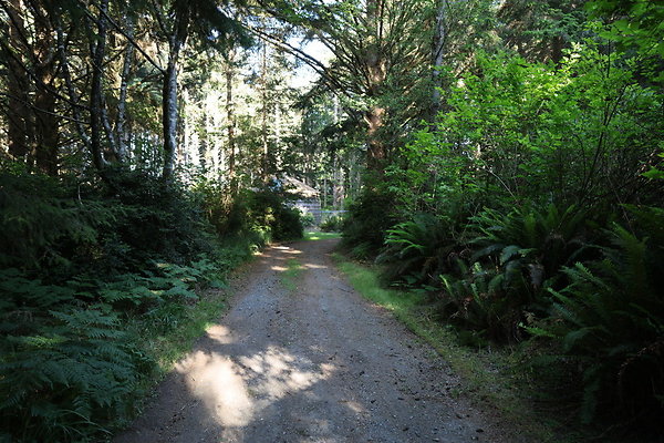 Cape Blanco Horse Camp Rr  25