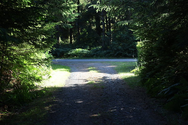 Cape Blanco Horse Camp Rr  54