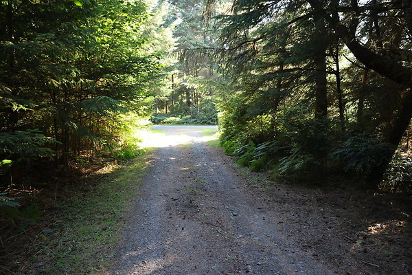 Cape Blanco Horse Camp Rr  52