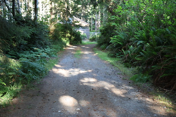 Cape Blanco Horse Camp Rr  24