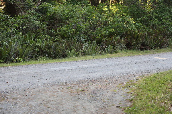 Cape Blanco Horse Camp Rr  09