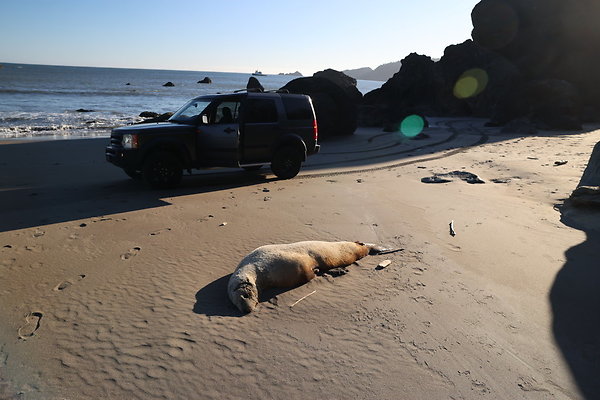 Battle Rock Beach  101