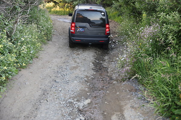 Beach Access Road  007