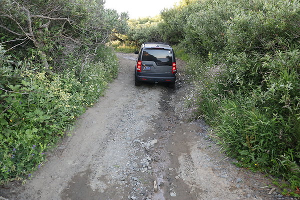 Beach Access Road  005