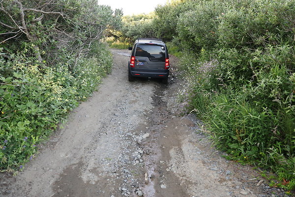 Beach Access Road  006