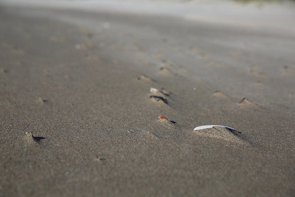 Merriwether FILE  052