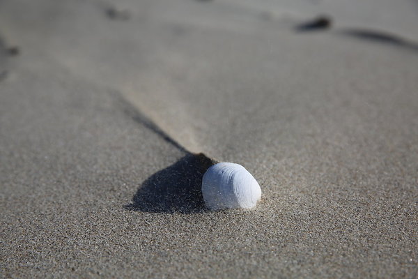 Merriwether FILE  048