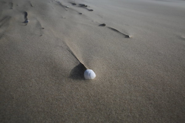 Merriwether FILE  044