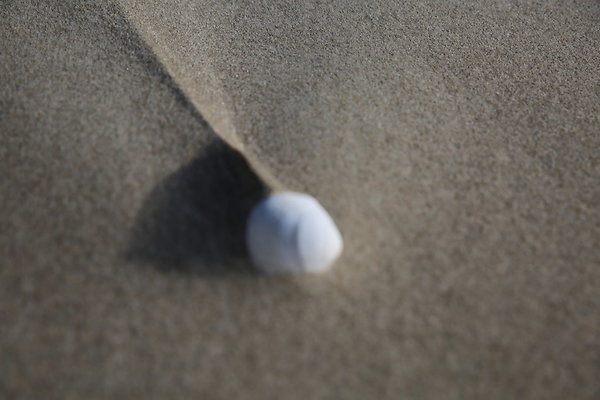 Merriwether FILE  047