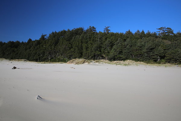 Merriwether FILE  043