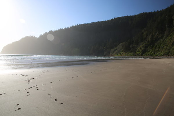 Merriwether FILE  081