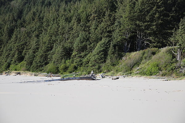 Merriwether FILE  065