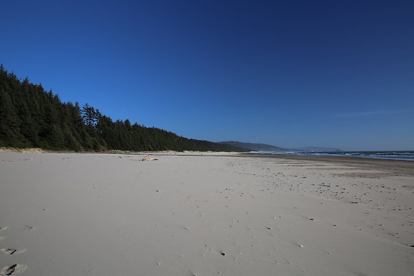 Merriwether FILE  068