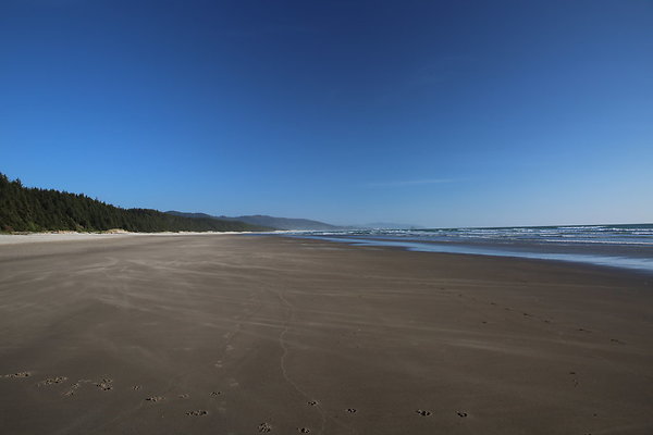 Merriwether FILE  083