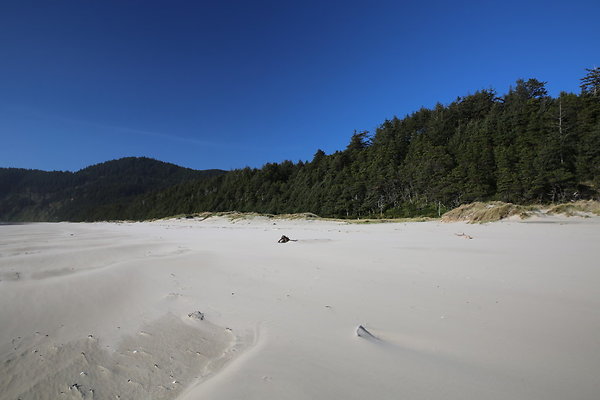 Merriwether FILE  042