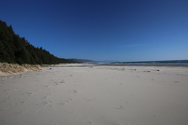 Merriwether FILE  059