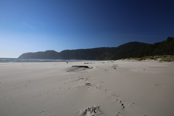 Merriwether FILE  036