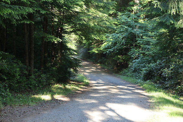 Camp Merriweather Rds 030