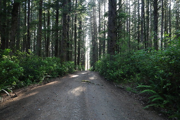 Camp Merriweather Rds 057