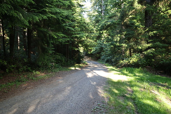 Camp Merriweather Rds 029