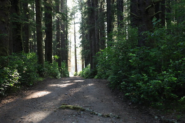 Camp Merriweather Rds 059