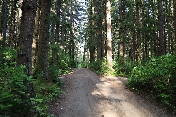 Camp Merriweather Rds 080