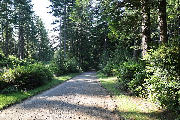 Camp Merriweather Rds 045