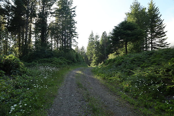 Camp Merriweather Rds 081