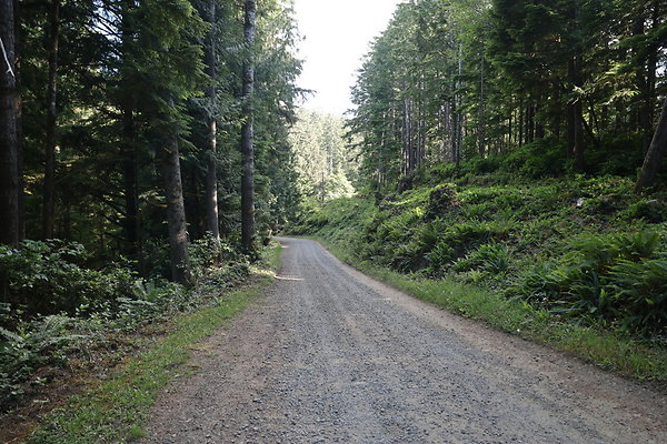 Camp Merriweather Rds 019