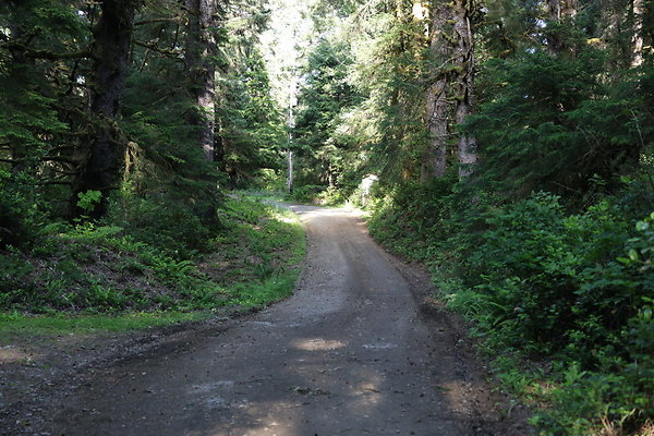 Camp Merriweather Rds 064