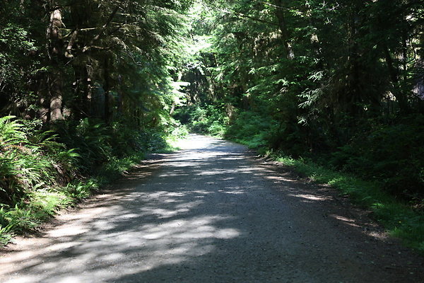 Camp Merriweather Rds 007