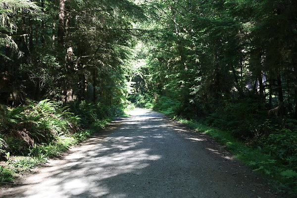 Camp Merriweather Rds 006