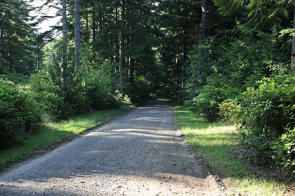 Camp Merriweather Rds 046