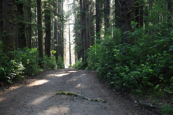 Camp Merriweather Rds 058