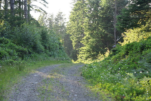 Camp Merriweather Rds 082