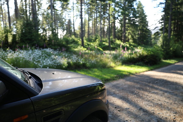 Camp Merriweather Rds 044