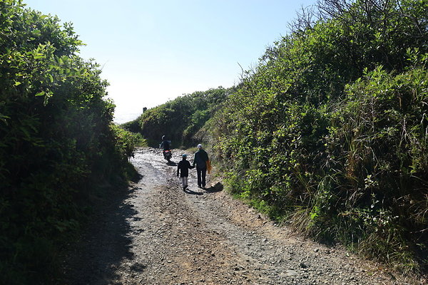 McPhillips Beach Access 041