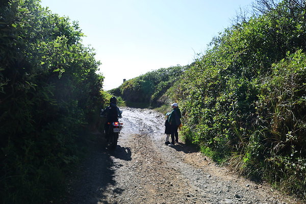 McPhillips Beach Access 036