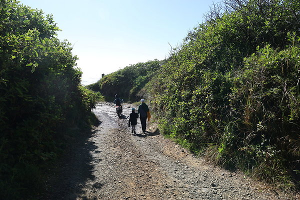 McPhillips Beach Access 040