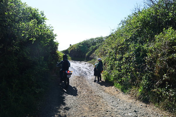 McPhillips Beach Access 035