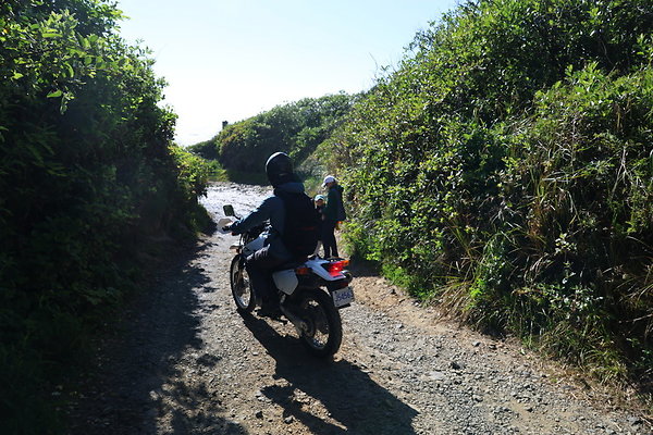 McPhillips Beach Access 031