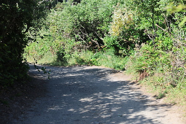 McPhillips Beach Access 054