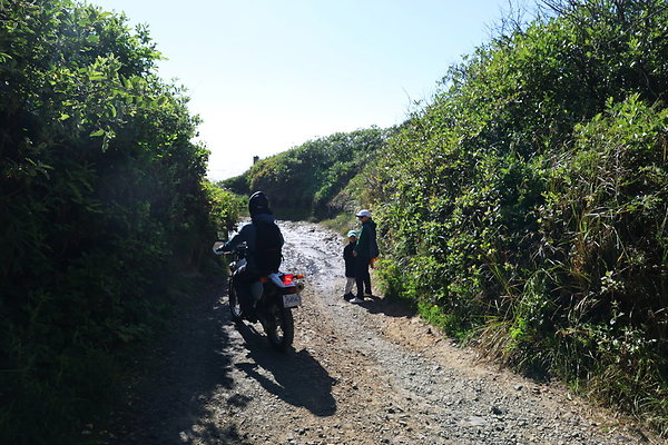 McPhillips Beach Access 033