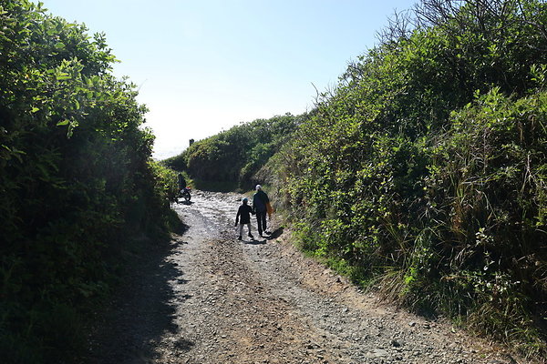 McPhillips Beach Access 044