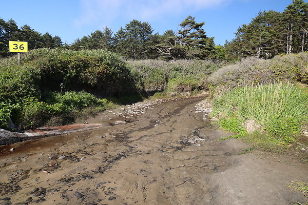 McPhillips Beach Access 001